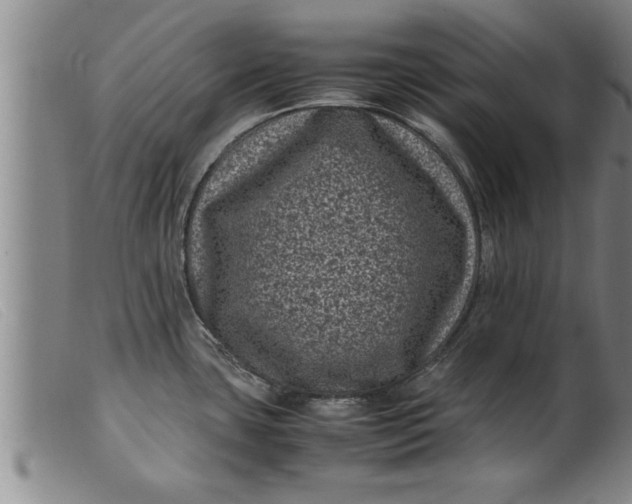 X0000099471435200805231819