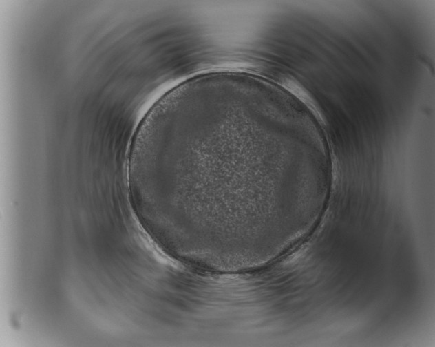 X0000099471436200805231819