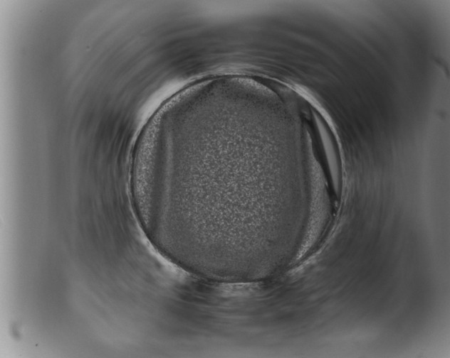 X0000099471437200805231819