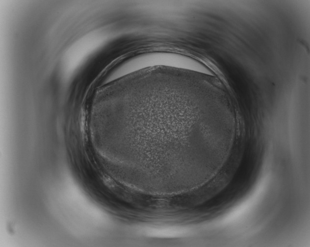 X0000099471438200805231819