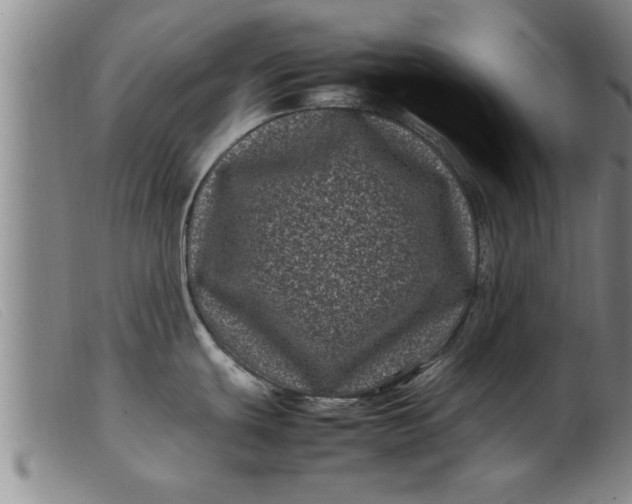 X0000099471439200805231819