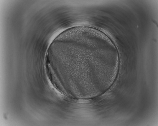 X0000099471440200805231819