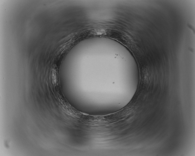 X0000099471442200805231819