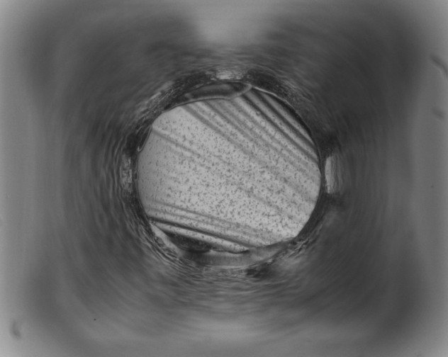 X0000099471443200805231819