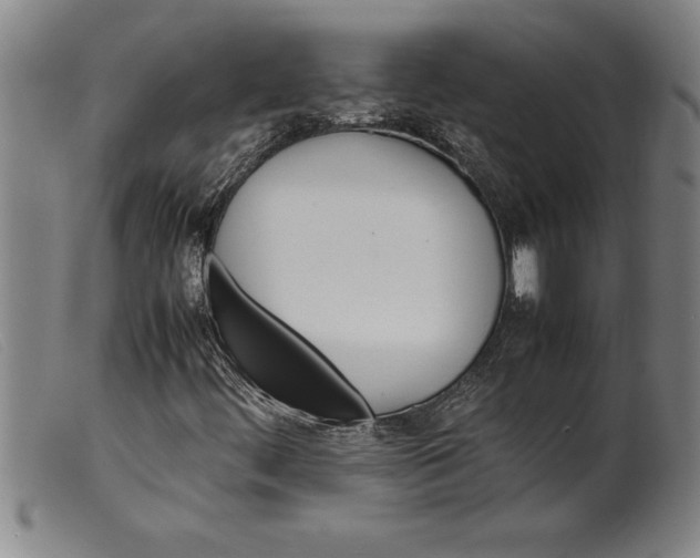 X0000099471444200805231819