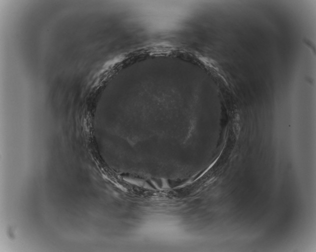 X0000099471445200805231819