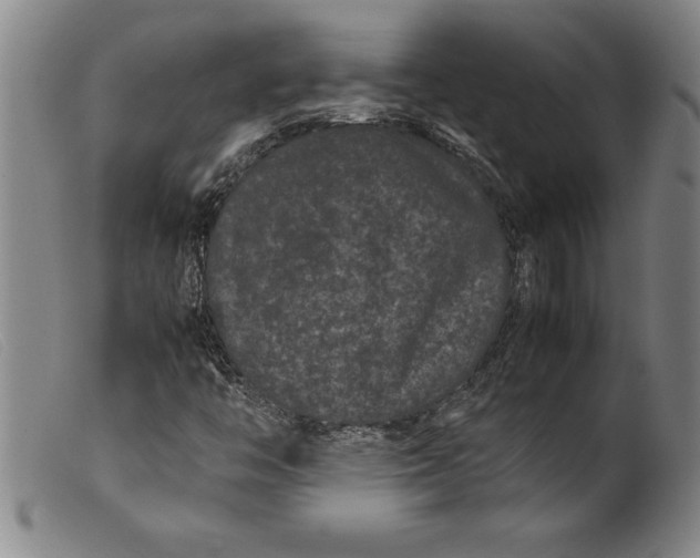 X0000099471446200805231819