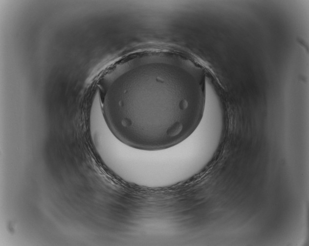 X0000099471448200805231819