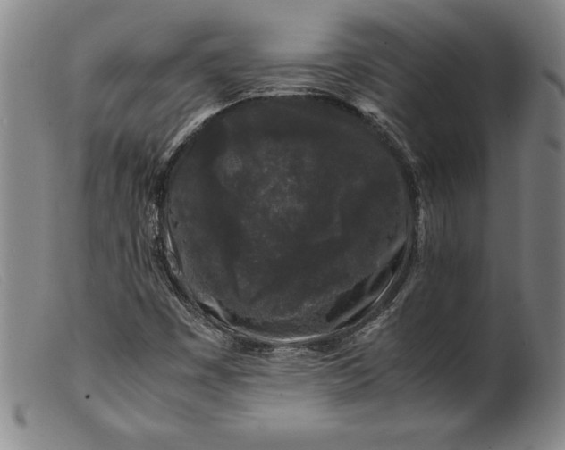 X0000099471449200805231819
