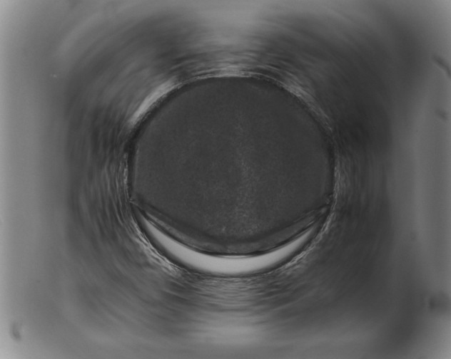 X0000099471450200805231819