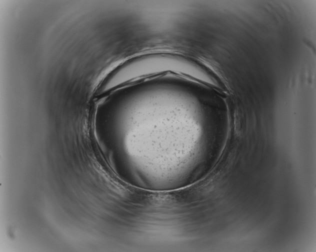X0000099471452200805231819