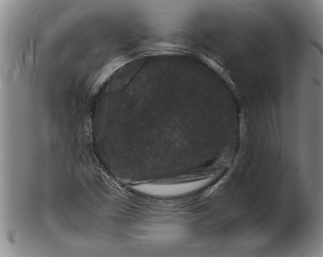 X0000099471453200805231819