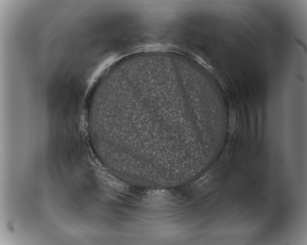 X0000099471454200805231819