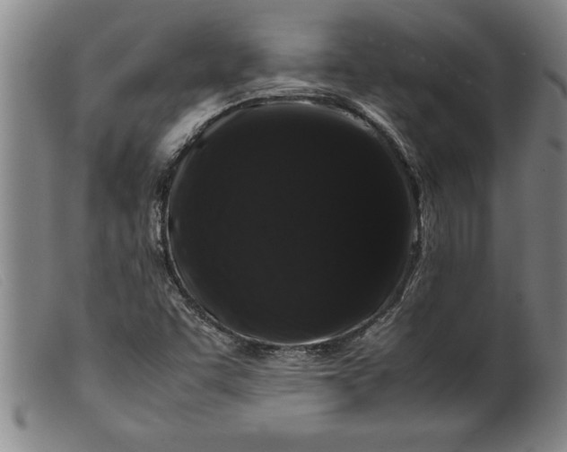 X0000099471455200805231819