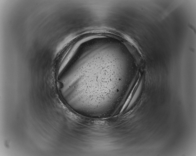 X0000099471456200805231819