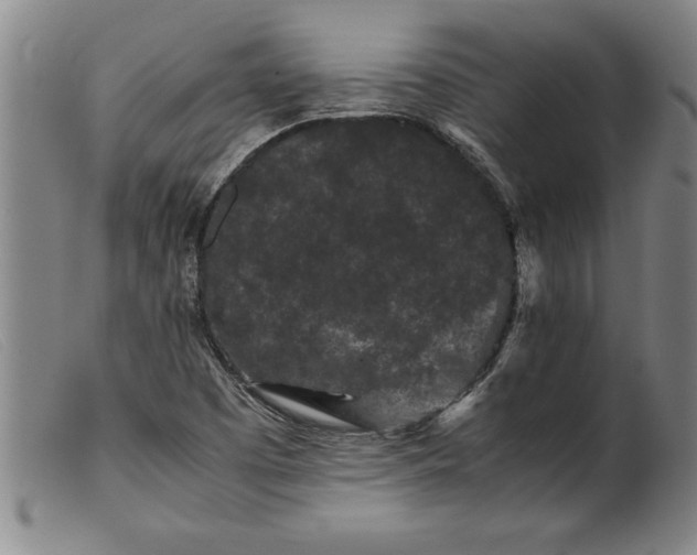 X0000099471457200805231819
