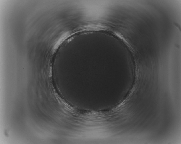 X0000099471459200805231818