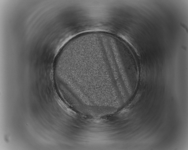X0000099471460200805231818