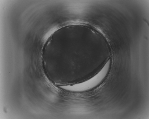 X0000099471463200805231818