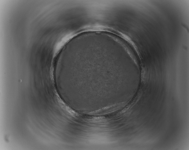 X0000099471464200805231818
