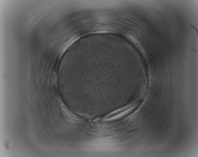 X0000099471465200805231818