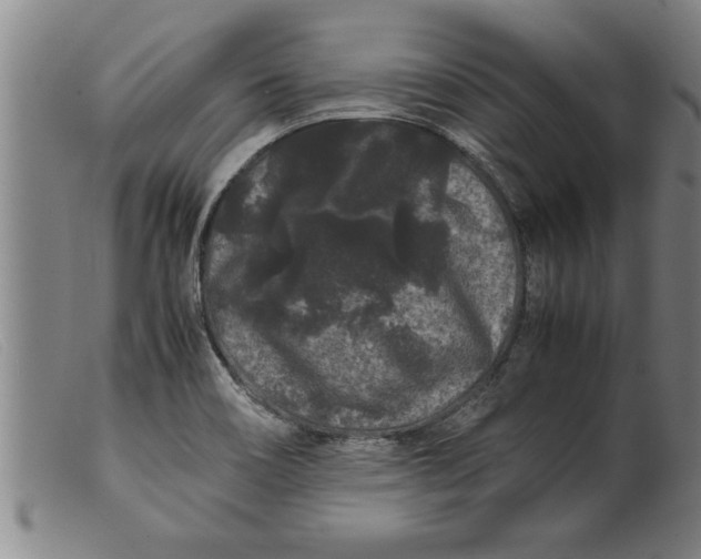 X0000099471466200805231818