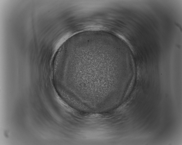 X0000099471467200805231818