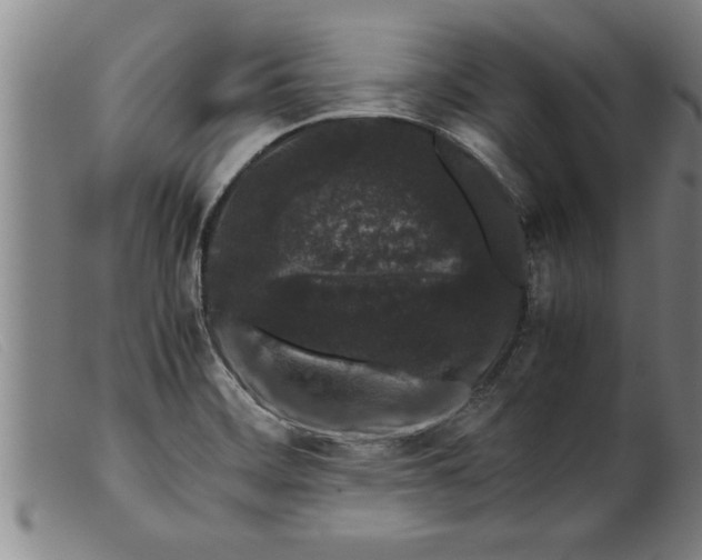X0000099471468200805231818
