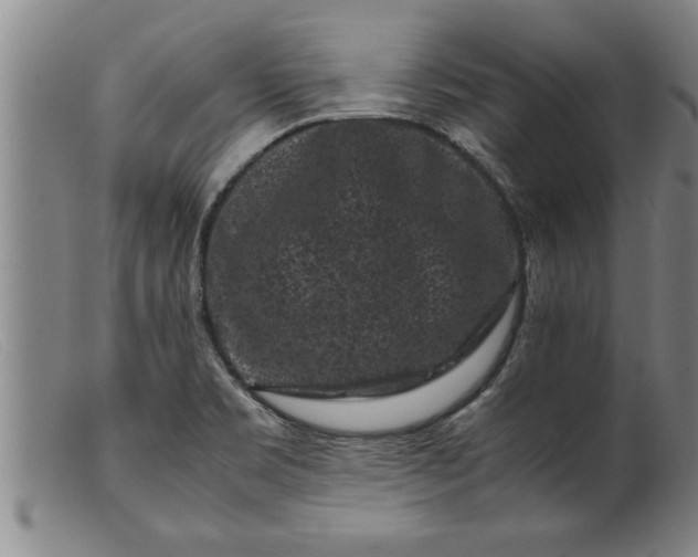 X0000099471469200805231818