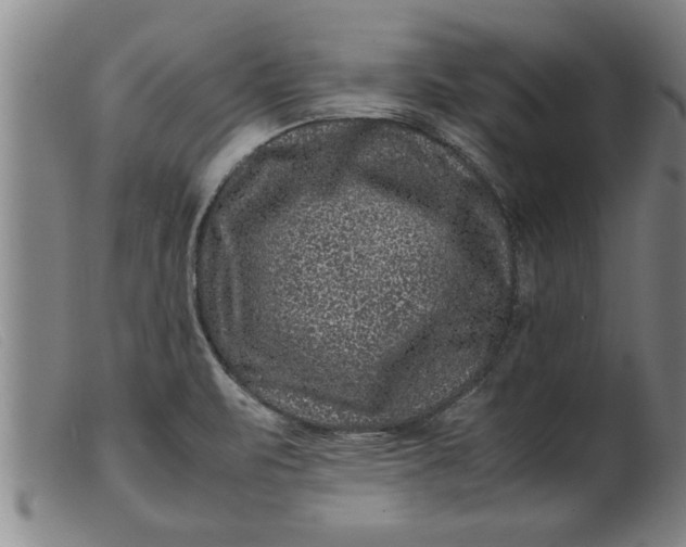 X0000099471471200805231818