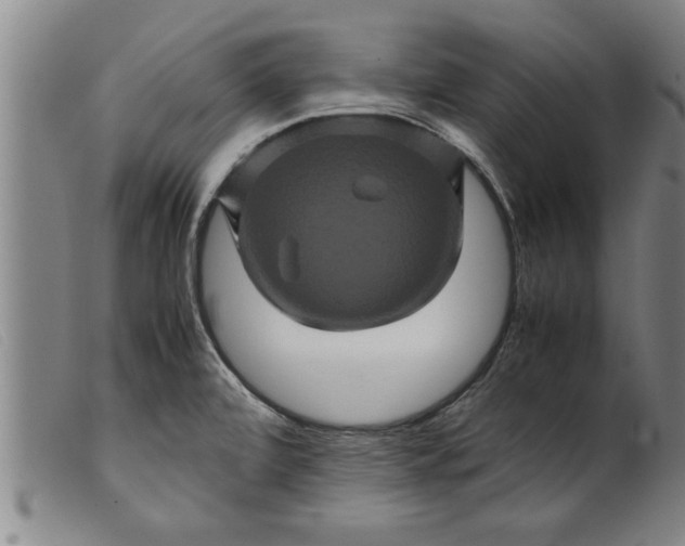 X0000099471472200805231818