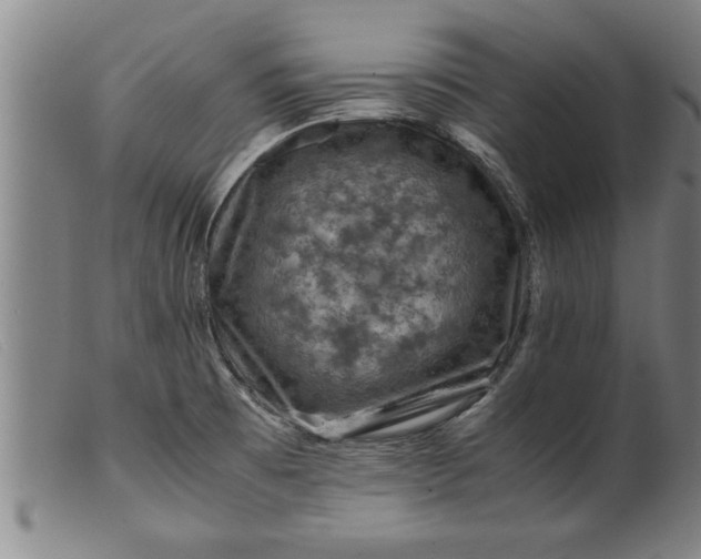 X0000099471473200805231818