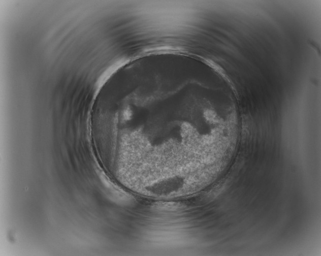 X0000099471474200805231818