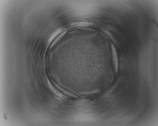 X0000099471475200805231818