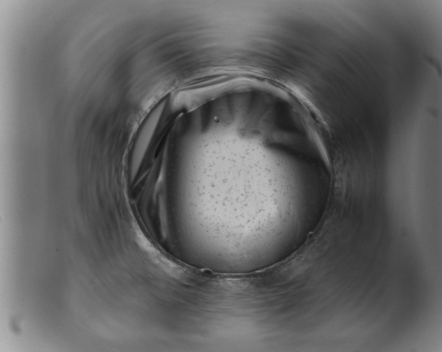 X0000099471476200805231818