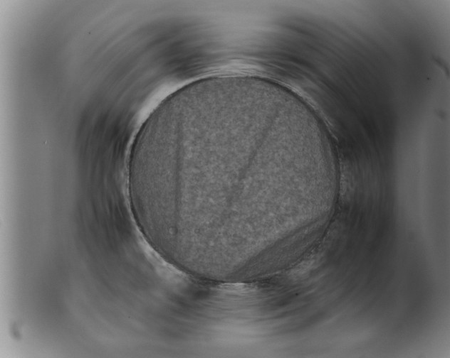 X0000099471478200805231818