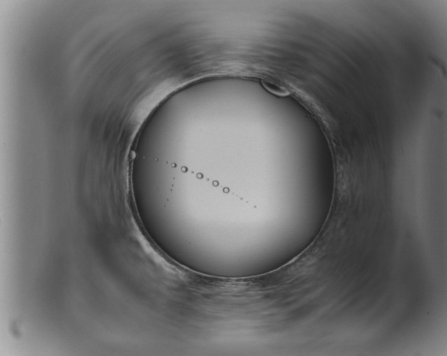 X0000099471479200805231818