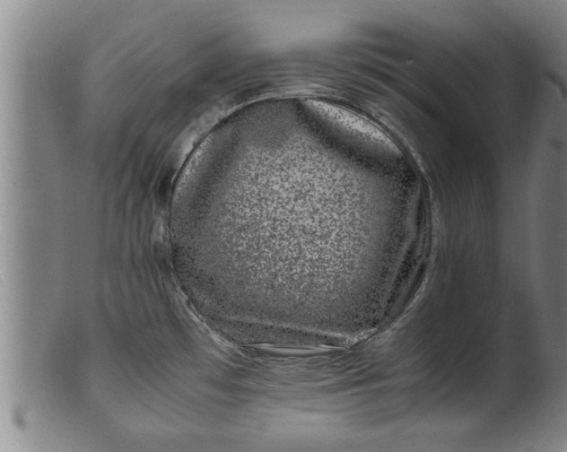 X0000099471481200805231818