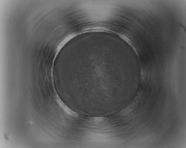 X0000099471482200805231818