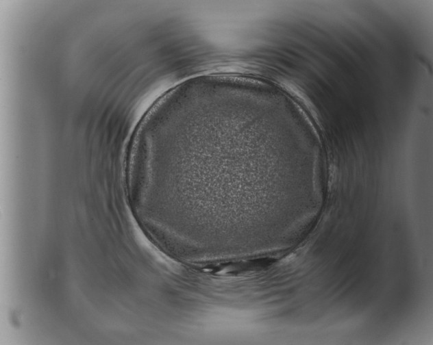 X0000099471483200805231818