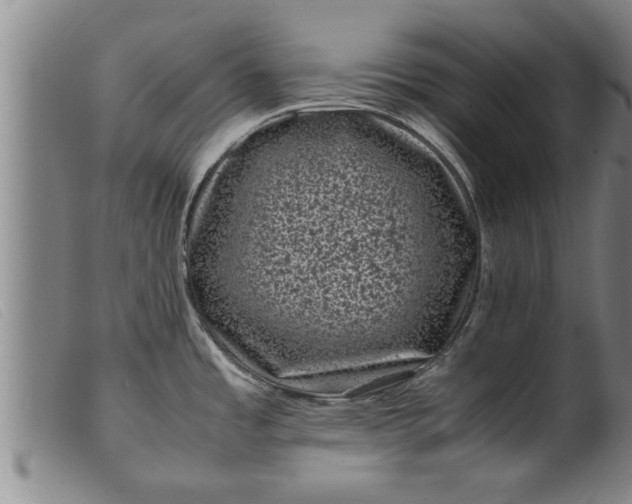X0000099471485200805231818