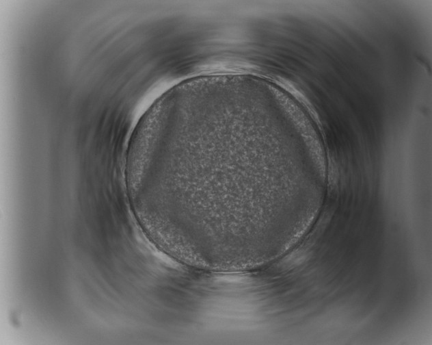 X0000099471486200805231818