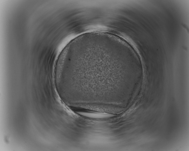 X0000099471488200805231818