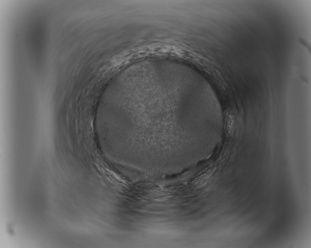 X0000099471489200805231817