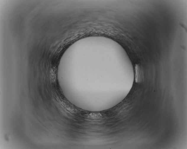 X0000099471491200805231817