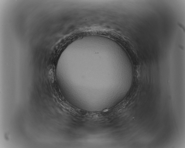 X0000099471493200805231817