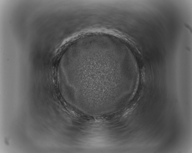 X0000099471494200805231817
