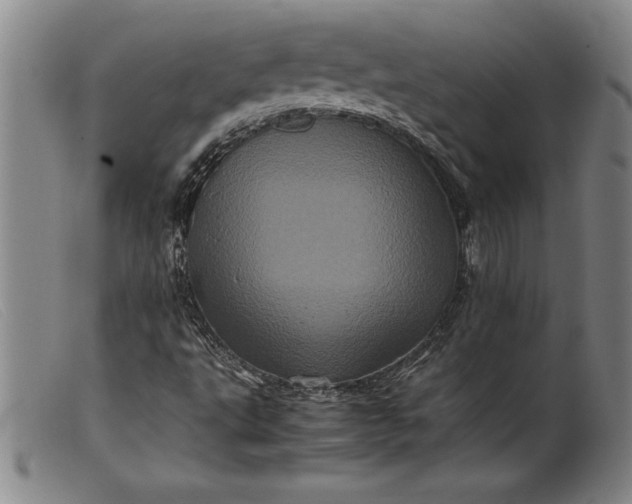 X0000099471495200805231817