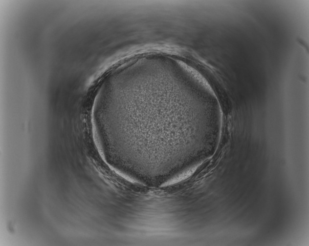 X0000099471496200805231817