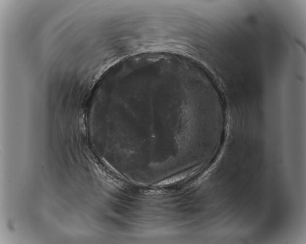 X0000099471497200805231817